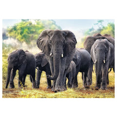 Trefl - 1000 Stukjes Puzzel - Puzzels - 14 - Leuke Activiteit - TRF10442