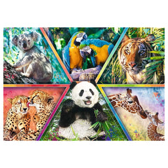 Trefl - 1000 Stukjes Puzzel - Puzzels - 14 - TRF10672