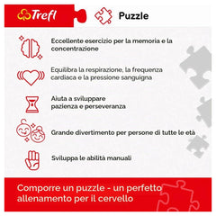 Trefl - 1000 Stukjes Puzzel - Puzzels - 14 - Central Park - TRF10467