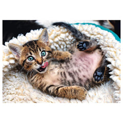 Trefl - Cheerful Kitten - Puzzels - +14 - TRF10448