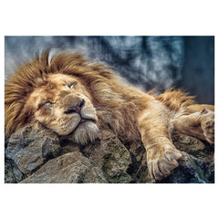 Trefl - Slapende Leeuw - Puzzels - 14+ - TRF10447