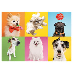 Trefl - 500 Piece Puzzle - Dogs - Puzzles Age +10 - TRF37378
