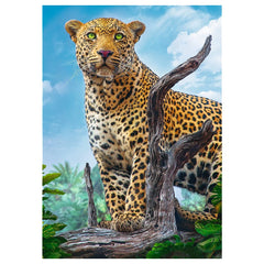 Trefl - 500 Piece Puzzle - Wild leopard - Puzzles Age +10 - TRF37332