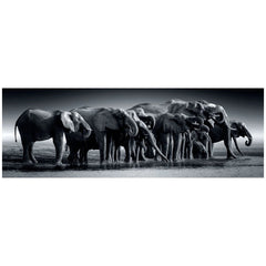 Clementoni High Quality Collection - Herd Of Giants 1000 Pcs Puzzle Panorama