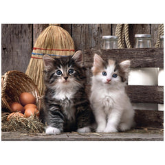 Clementoni High Quality Collection - Lovely Kittens 1000 Pcs Puzzle