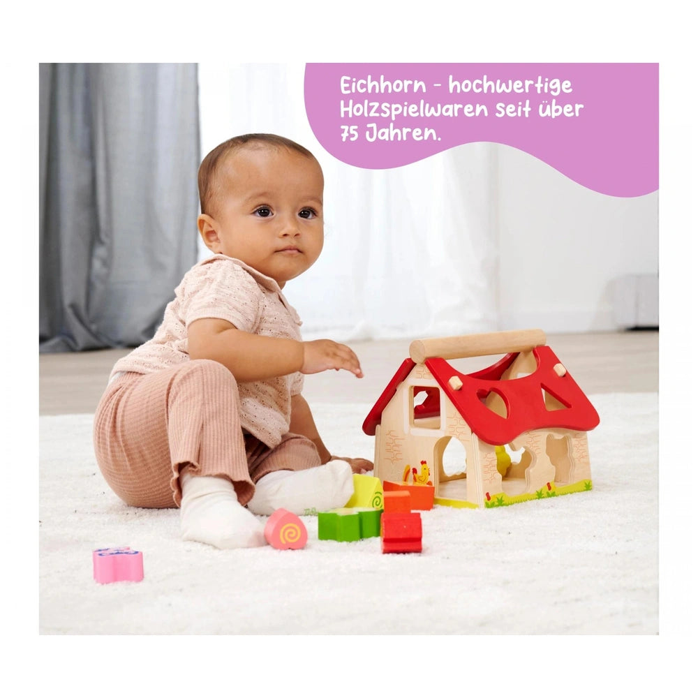 Eichhorn Sorting Farm baby activity toys with a child sitting on a carpet, colorful blocks, and a wooden house in view.