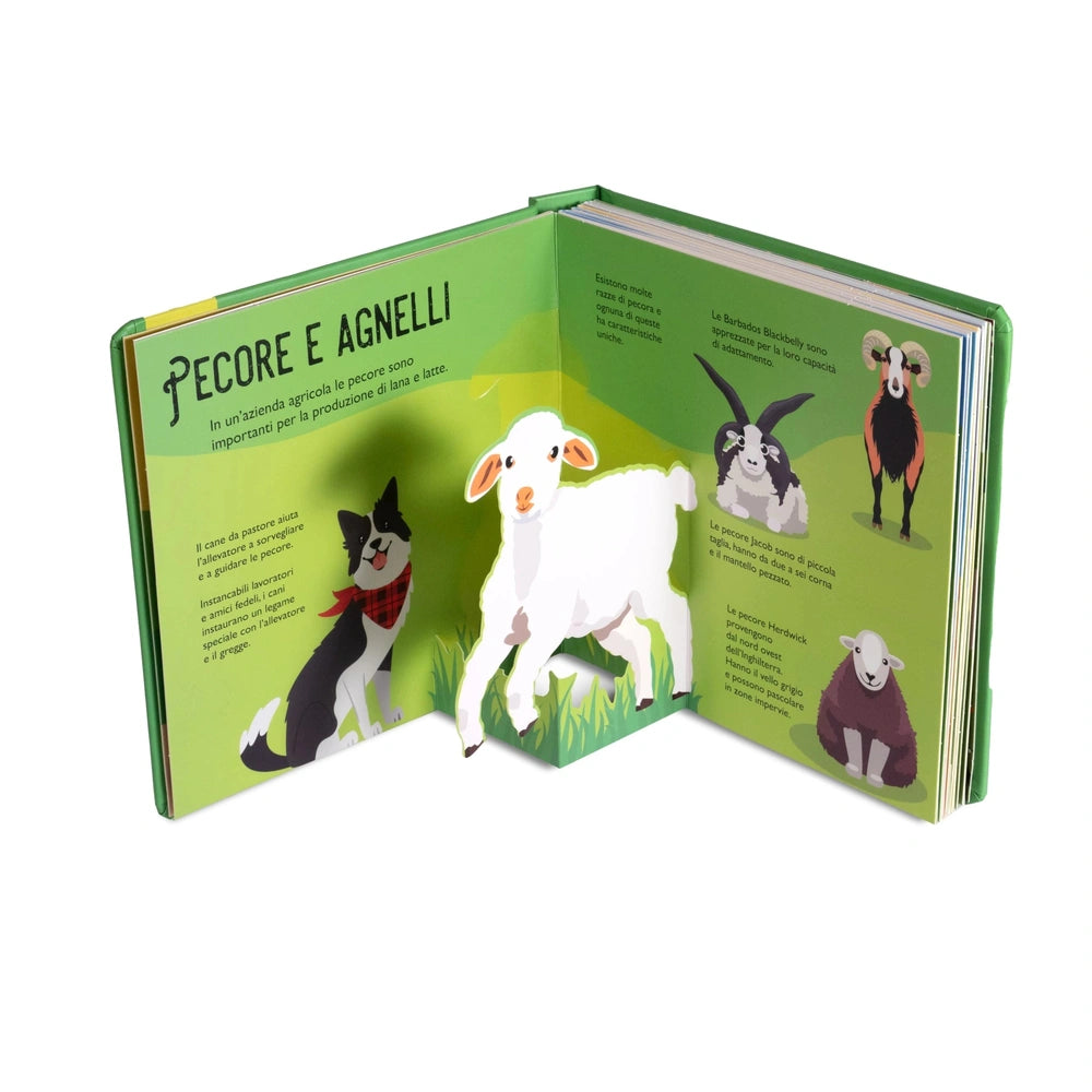 NUINUI Farm Life Pop Up Book features a glossy green cover with black text detailing sheep's importance in agriculture.