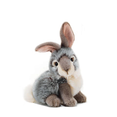 Plush & Co Lapo Little Bunny Pluche 20 cm - Assortiment