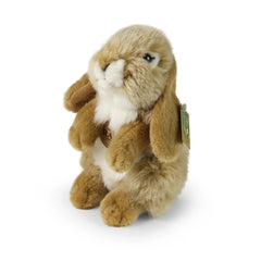 Plush beige hare with fluffy texture, large round eyes, and floppy ears, standing upright against a white background.