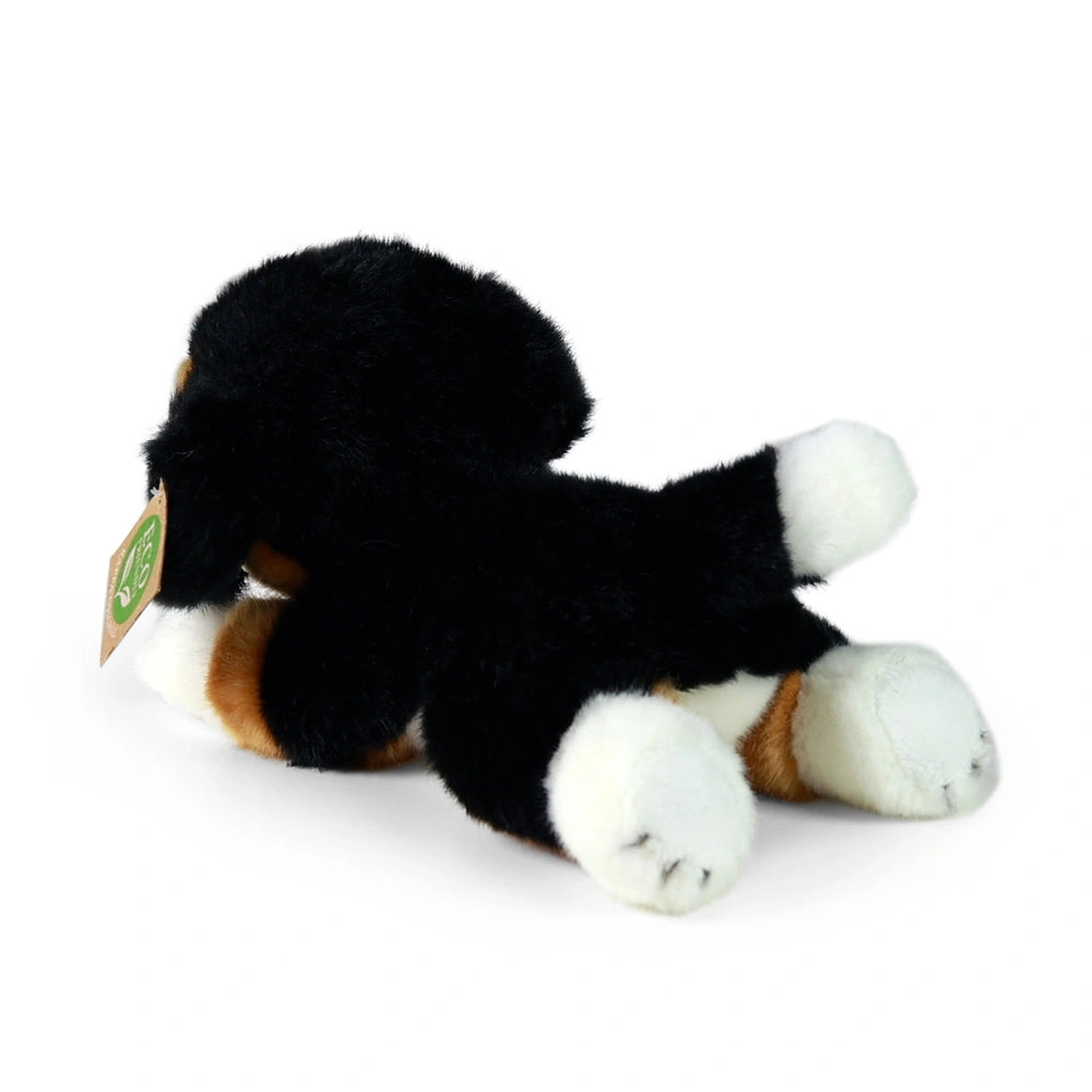 Plush Bernese mountain dog stuffed animal, black with white paws and belly, lying on its back against a light background.