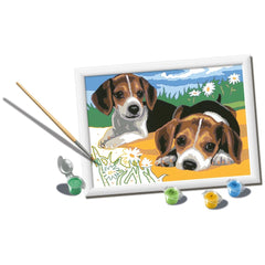 Ravensburger - Creart Beagle Puppies - Painting By Numbers - Arts & Crafts