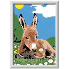 Ravensburger - Creart Little Donkey - Painting By Numbers - Arts & Crafts