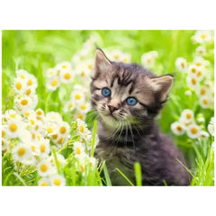 Ravensburger-Puzzel-500-Stukken-Katten-in-het-Veld