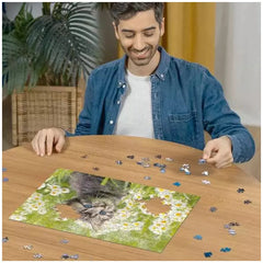 Ravensburger-Puzzel-500-Stukken-Katten-in-het-Veld