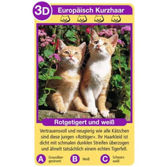 Ravensburger - Tierquartett Katzen - Kaartspel