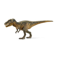 Schleich - Dinosaurs - Tarbosaurus - Action & Toy Figures - 15034