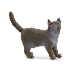 Schleich - Farm World - Britse Korthaar Kat - Actie- en Speelfiguren - 13973