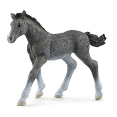 Schleich - Horse Club - Trakehner Colt - Action & Toy Figures - 13944