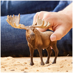 Schleich - Wild Life - Bull Moose - Action & Toy Figures - 14781