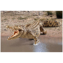 Schleich - Wild Life - Krokodil - Actie- en Speelgoedfiguren - 14736