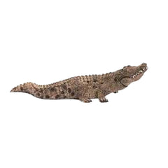 Schleich - Wild Life - Krokodil - Actie- en Speelgoedfiguren - 14736