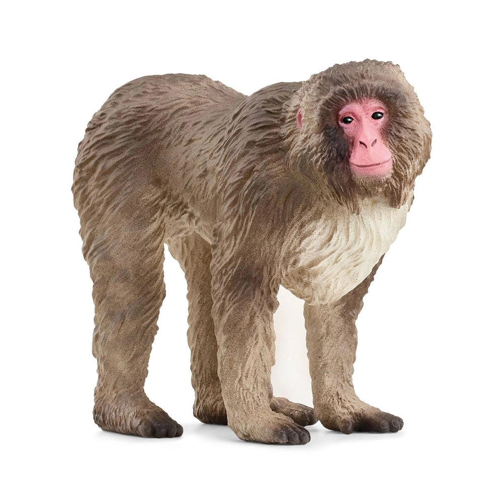 Schleich - Wild Life - Japanse Makaak - Actie- en Speelfiguren - 14871