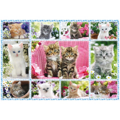 Schmidt Spiele - Kittens 100 Pcs - Puzzles